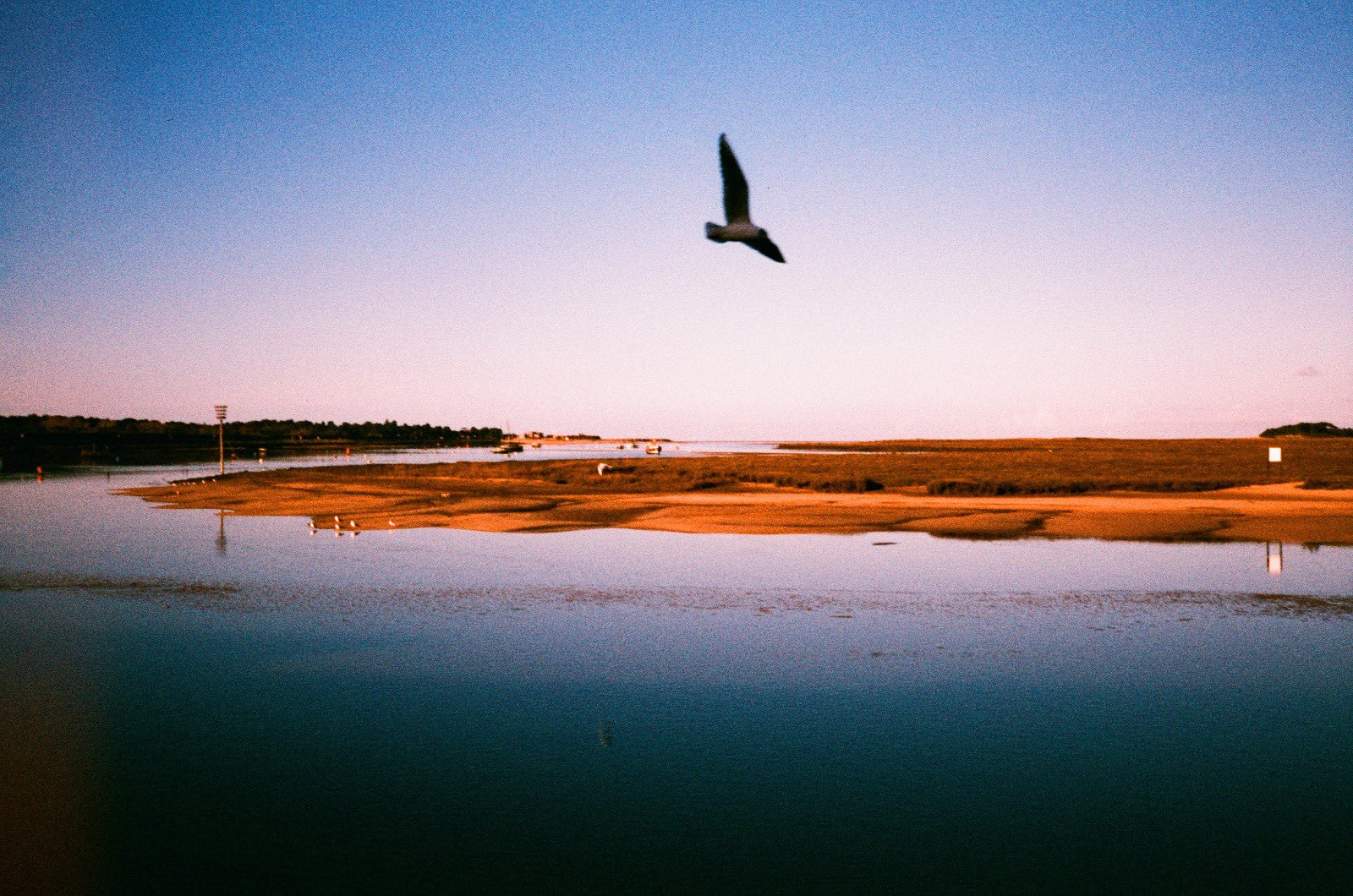35mm film photograph 1