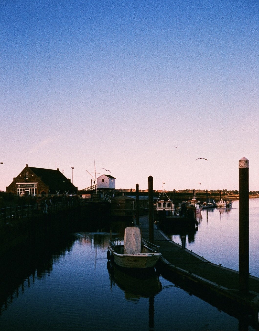 35mm film photograph 3