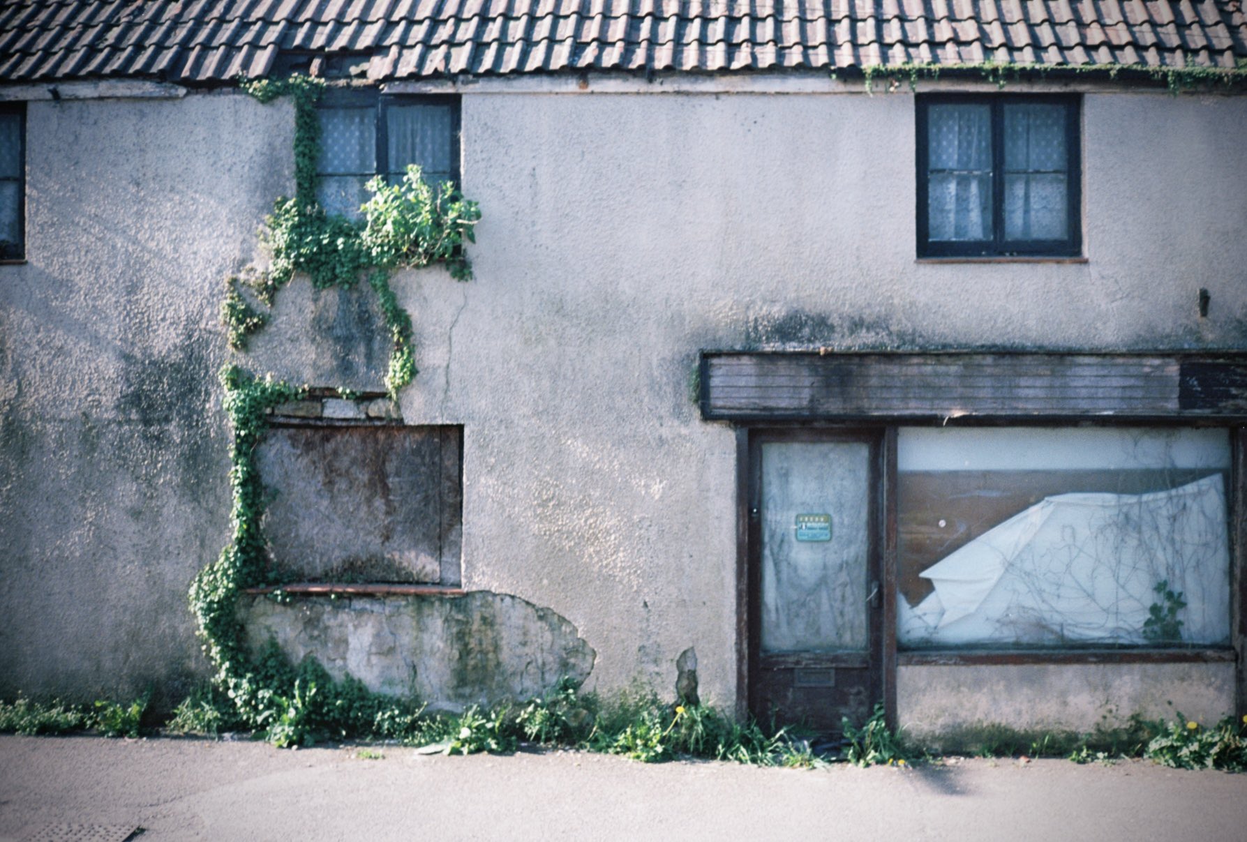 35mm film photograph 9